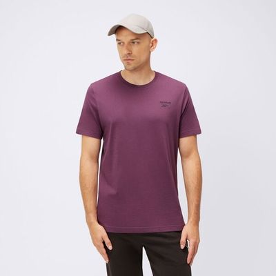 T-shirt męski na lato Reebok ze sklepu: 50style.pl w kategorii: T-shirty męskie - zdjęcie 110026D-FE4-6238_100206078