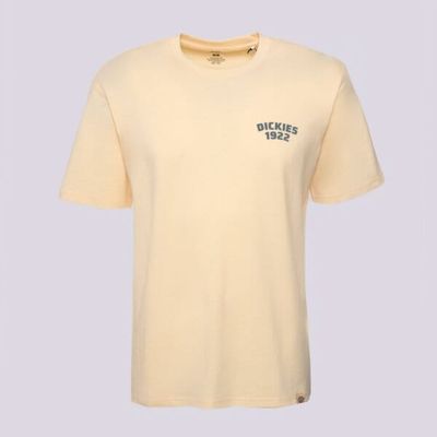 T-shirt męski letni Dickies ze sklepu: 50style.pl w kategorii: T-shirty męskie - zdjęcie 110026D-FE4-6238_DK0A4Z96K531