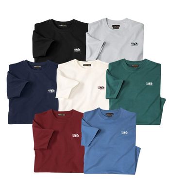 T-shirt męski letni Atlas For Men ze sklepu: Atlas For Men w kategorii: T-shirty męskie - zdjęcie 15A918-39C-13902_15324692