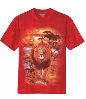 T-shirt męski Atlas For Men ze sklepu: Atlas For Men w kategorii: T-shirty męskie - zdjęcie 15A918-39C-13902_16311627