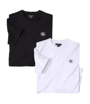 T-shirt męski Atlas For Men ze sklepu: Atlas For Men w kategorii: T-shirty męskie - zdjęcie 15A918-39C-13902_16978649