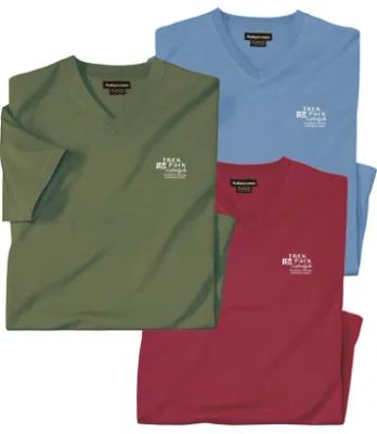 T-shirt męski Atlas For Men ze sklepu: Atlas For Men w kategorii: T-shirty męskie - zdjęcie 15A918-39C-13902_18142809