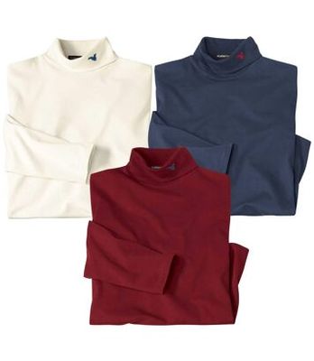 Sweter męski casual Atlas For Men ze sklepu: Atlas For Men w kategorii: Swetry męskie - zdjęcie 15A918-39C-13902_18624423