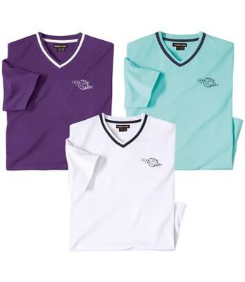T-shirt męski wiosenny Atlas For Men ze sklepu: Atlas For Men w kategorii: T-shirty męskie - zdjęcie 15A918-39C-13902_18624866