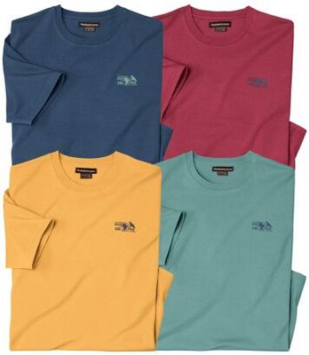 T-shirt męski na wiosnę Atlas For Men ze sklepu: Atlas For Men w kategorii: T-shirty męskie - zdjęcie 15A918-39C-13902_18624875