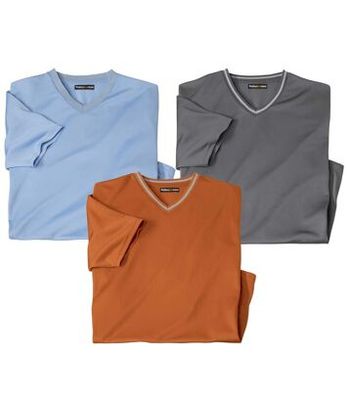 T-shirt męski casualowy Atlas For Men ze sklepu: Atlas For Men w kategorii: T-shirty męskie - zdjęcie 15A918-39C-13902_18625234
