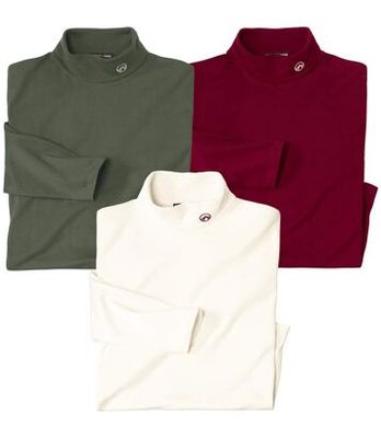 Sweter męski Atlas For Men ze sklepu: Atlas For Men w kategorii: Swetry męskie - zdjęcie 15A918-39C-13902_18625506