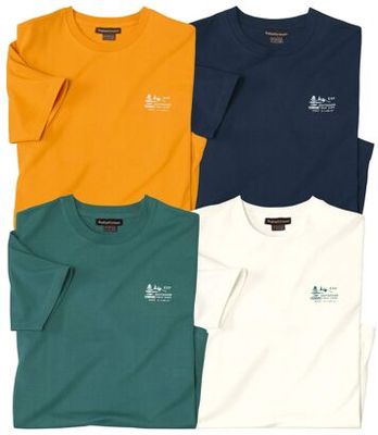 T-shirt męski na lato Atlas For Men ze sklepu: Atlas For Men w kategorii: T-shirty męskie - zdjęcie 15A918-39C-13902_18625586