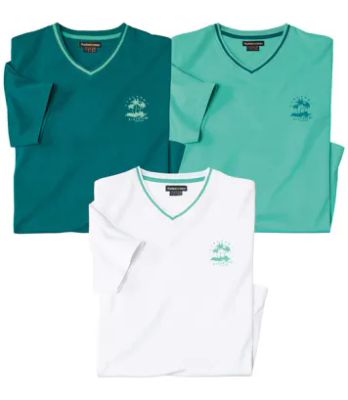 T-shirt męski na lato Atlas For Men ze sklepu: Atlas For Men w kategorii: T-shirty męskie - zdjęcie 15A918-39C-13902_18625592