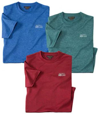 T-shirt męski casual Atlas For Men ze sklepu: Atlas For Men w kategorii: T-shirty męskie - zdjęcie 15A918-39C-13902_18625609