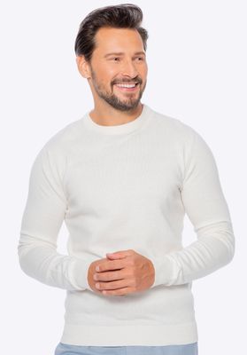 Sweter męski WITTCHEN ze sklepu: WITTCHEN w kategorii: Swetry męskie - zdjęcie 360172-0C5-11295_M0-99-103-0