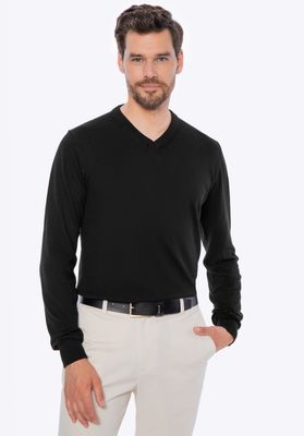 Sweter męski WITTCHEN ze sklepu: WITTCHEN w kategorii: Swetry męskie - zdjęcie 360172-0C5-11295_M0-99-104-1