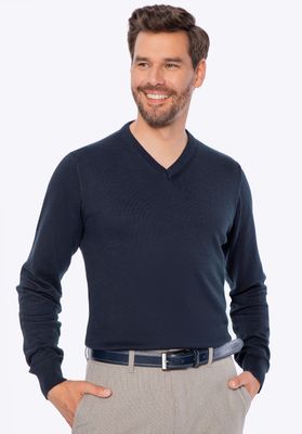 Sweter męski WITTCHEN ze sklepu: WITTCHEN w kategorii: Swetry męskie - zdjęcie 360172-0C5-11295_M0-99-104-N