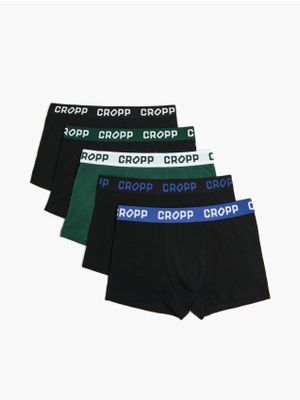 Majtki męskie casual ze sklepu: Cropp w kategorii: Majtki męskie - zdjęcie 4198BBB-532-6969_444FZ-79X