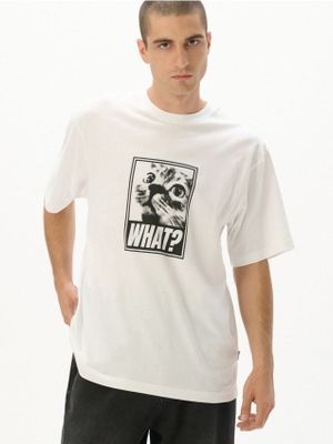 T-shirt męski młodzieżowy ze sklepu: Cropp w kategorii: T-shirty męskie - zdjęcie 4198BBB-532-6969_528DE-00X