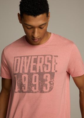 T-shirt męski Diverse ze sklepu: Diverse w kategorii: T-shirty męskie - zdjęcie 44D75FA-DAF-8163_10046857