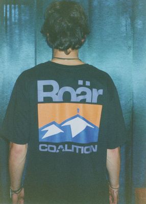 Coalition - T-shirt męski na wiosnę ze sklepu: Diverse w kategorii: T-shirty męskie - zdjęcie 44D75FA-DAF-8163_10048095