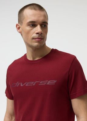 T-shirt męski Diverse ze sklepu: Diverse w kategorii: T-shirty męskie - zdjęcie 44D75FA-DAF-8163_10048803