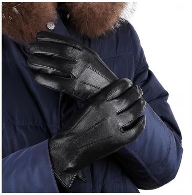 Rękawiczki ze sklepu: Stylion w kategorii: Rękawiczki męskie - zdjęcie 4D4DD33-06F-2088_6955