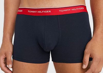 Majtki męskie na jesień Tommy Hilfiger ze sklepu: Darbut w kategorii: Majtki męskie - zdjęcie 4EFD8BE-A55-9847_23161
