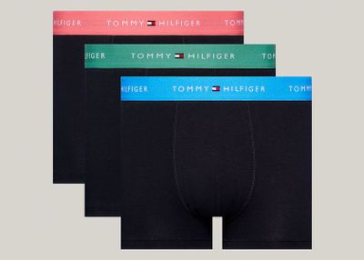 Majtki męskie na wiosnę Tommy Hilfiger ze sklepu: Darbut w kategorii: Majtki męskie - zdjęcie 4EFD8BE-A55-9847_25664
