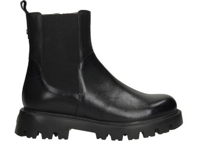 Botki eleganckie Wonders ze sklepu: Darbut w kategorii: Botki - zdjęcie 4EFD8BE-A55-9847_26343