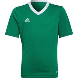 T-shirt chłopięce casual adidas ze sklepu: SPORT-SHOP.pl w kategorii: T-shirty chłopięce - zdjęcie 6BAF450-D40-9631_143394