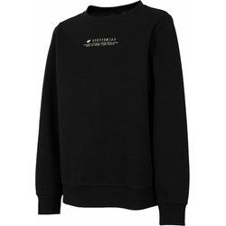 4F - Bluza damska na jesień ze sklepu: SPORT-SHOP.pl w kategorii: Bluzy damskie - zdjęcie 6BAF450-D40-9631_143634