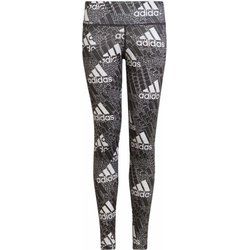 Spodnie dziewczęce w nadruki adidas ze sklepu: SPORT-SHOP.pl w kategorii: Spodnie dziewczęce - zdjęcie 6BAF450-D40-9631_144836