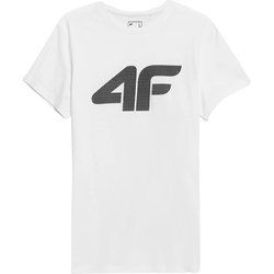 4F - T-shirt męski wiosenny sportowy ze sklepu: SPORT-SHOP.pl w kategorii: T-shirty męskie - zdjęcie 6BAF450-D40-9631_156654