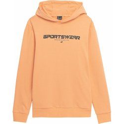 Bluza męska casual 4F ze sklepu: SPORT-SHOP.pl w kategorii: Bluzy męskie - zdjęcie 6BAF450-D40-9631_157369