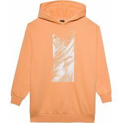 Bluza damska w stylu młodzieżowym 4F ze sklepu: SPORT-SHOP.pl w kategorii: Bluzy damskie - zdjęcie 6BAF450-D40-9631_157587