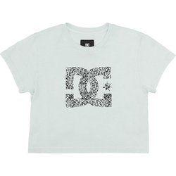 Bluzka damska na lato Dc Shoes ze sklepu: SPORT-SHOP.pl w kategorii: Bluzki damskie - zdjęcie 6BAF450-D40-9631_160543