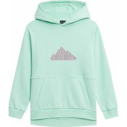 Bluza dziewczęca zimowa 4F ze sklepu: SPORT-SHOP.pl w kategorii: Bluzy dziewczęce - zdjęcie 6BAF450-D40-9631_160590