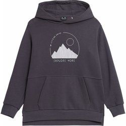 Bluza dziewczęca jesienna 4F ze sklepu: SPORT-SHOP.pl w kategorii: Bluzy dziewczęce - zdjęcie 6BAF450-D40-9631_160591