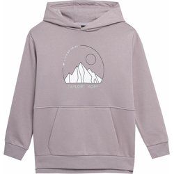 Bluza dziewczęca na wiosnę 4F ze sklepu: SPORT-SHOP.pl w kategorii: Bluzy dziewczęce - zdjęcie 6BAF450-D40-9631_160592