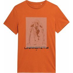 4F - T-shirt męski na wiosnę ze sklepu: SPORT-SHOP.pl w kategorii: T-shirty męskie - zdjęcie 6BAF450-D40-9631_167043