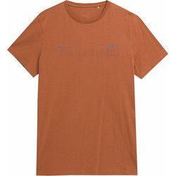 T-shirt męski sportowy 4F ze sklepu: SPORT-SHOP.pl w kategorii: T-shirty męskie - zdjęcie 6BAF450-D40-9631_167054