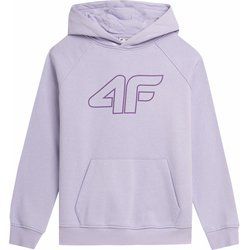 Bluza dziewczęca sportowy 4F ze sklepu: SPORT-SHOP.pl w kategorii: Bluzy dziewczęce - zdjęcie 6BAF450-D40-9631_167375