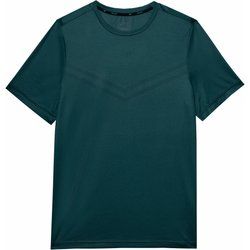 T-shirt męski sportowy 4F ze sklepu: SPORT-SHOP.pl w kategorii: T-shirty męskie - zdjęcie 6BAF450-D40-9631_174970