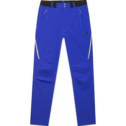 4F - Spodnie męskie na jesień ze sklepu: SPORT-SHOP.pl w kategorii: Spodnie męskie - zdjęcie 6BAF450-D40-9631_175231