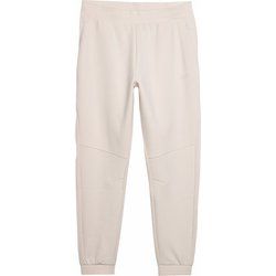 Spodnie męskie w sportowym stylu 4F ze sklepu: SPORT-SHOP.pl w kategorii: Spodnie męskie - zdjęcie 6BAF450-D40-9631_175246