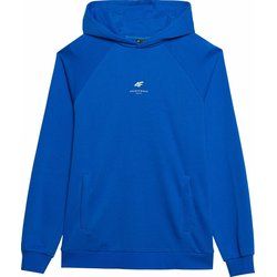 Bluza męska 4F ze sklepu: SPORT-SHOP.pl w kategorii: Bluzy męskie - zdjęcie 6BAF450-D40-9631_175397
