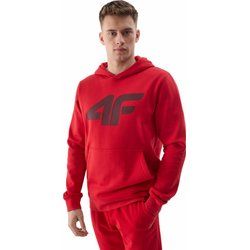 Bluza męska 4F ze sklepu: SPORT-SHOP.pl w kategorii: Bluzy męskie - zdjęcie 6BAF450-D40-9631_175419