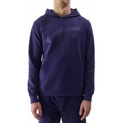 4F - Bluza męska ze sklepu: SPORT-SHOP.pl w kategorii: Bluzy męskie - zdjęcie 6BAF450-D40-9631_175421