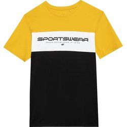 4F - T-shirt męski na lato ze sklepu: SPORT-SHOP.pl w kategorii: T-shirty męskie - zdjęcie 6BAF450-D40-9631_175600