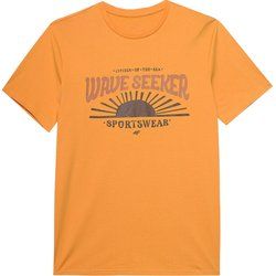 T-shirt męski na lato 4F ze sklepu: SPORT-SHOP.pl w kategorii: T-shirty męskie - zdjęcie 6BAF450-D40-9631_175603
