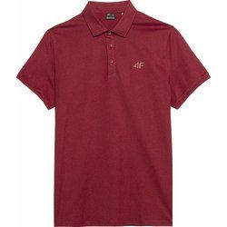 T-shirt męski casual bez wzorów 4F ze sklepu: SPORT-SHOP.pl w kategorii: T-shirty męskie - zdjęcie 6BAF450-D40-9631_175709