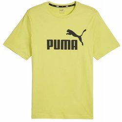 T-shirt męski Puma ze sklepu: SPORT-SHOP.pl w kategorii: T-shirty męskie - zdjęcie 6BAF450-D40-9631_175909