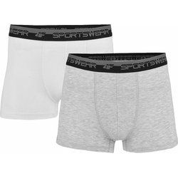 Majtki męskie letni 4F ze sklepu: SPORT-SHOP.pl w kategorii: Majtki męskie - zdjęcie 6BAF450-D40-9631_176359